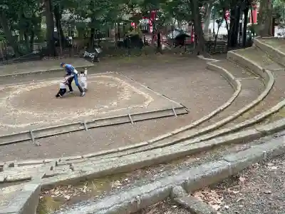 世田谷八幡宮の{uncategorized: "未分類", other: "その他", undefined: "問題あり", building: "その他建物", grave: "お墓", sacred_gate: "鳥居", guardian: "狛犬", statue: "像", buddha: "仏像", history: "歴史", nature: "自然", garden: "庭園", animal: "動物", pagoda: "塔", temizu: "手水舎", mountain_gate: "山門・神門", sanctuary: "本殿・本堂", subordinate: "末社・摂社", art: "芸術", scenery: "景色", jizo: "地蔵", ema: "絵馬", goshuin: "御朱印", omikuji: "おみくじ", items: "授与品その他", amulet: "お守り", goshuincho: "御朱印帳", eats: "食事", festival: "お祭り", votive_dance: "神楽", shichigosan: "七五三参", wedding: "結婚式", experience: "体験その他", initially: "初詣", around: "周辺", anti_infection: "感染症対策"}