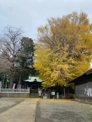 鶴嶺八幡宮の{uncategorized: "未分類", other: "その他", undefined: "問題あり", building: "その他建物", grave: "お墓", sacred_gate: "鳥居", guardian: "狛犬", statue: "像", buddha: "仏像", history: "歴史", nature: "自然", garden: "庭園", animal: "動物", pagoda: "塔", temizu: "手水舎", mountain_gate: "山門・神門", sanctuary: "本殿・本堂", subordinate: "末社・摂社", art: "芸術", scenery: "景色", jizo: "地蔵", ema: "絵馬", goshuin: "御朱印", omikuji: "おみくじ", items: "授与品その他", amulet: "お守り", goshuincho: "御朱印帳", eats: "食事", festival: "お祭り", votive_dance: "神楽", shichigosan: "七五三参", wedding: "結婚式", experience: "体験その他", initially: "初詣", around: "周辺", anti_infection: "感染症対策"}