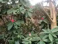 大生郷天満宮の自然