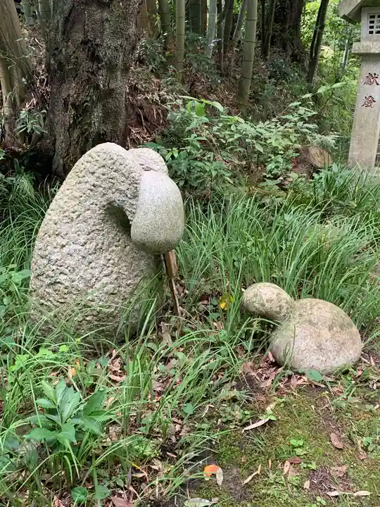 五所駒瀧神社(茨城県)