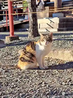 牟呂八幡宮(愛知県)