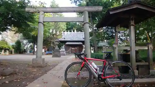 仙波氷川神社の鳥居