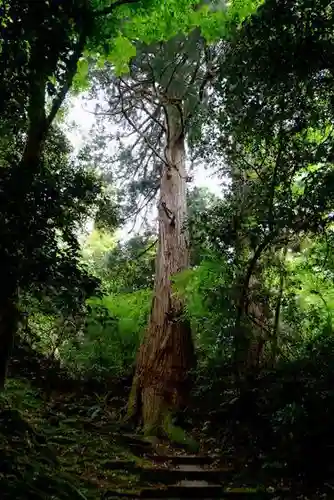 那谷寺の自然