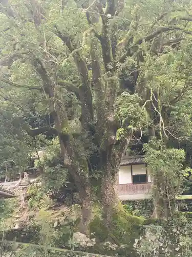 流谷八幡神社(大阪府)