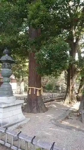 青葉神社の自然