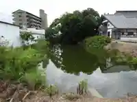 見性寺(徳島県)