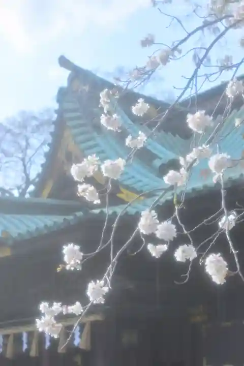 三嶋大社(静岡県)