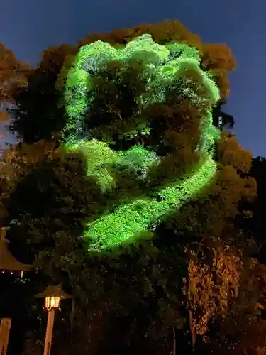 武蔵一宮氷川神社(埼玉県)