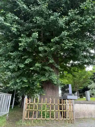 相模原氷川神社(神奈川県)