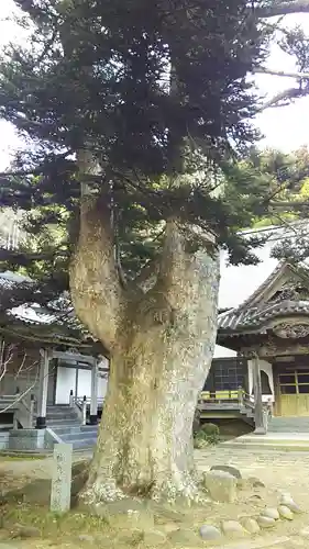 補陀寺の自然