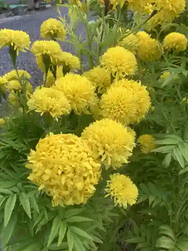 佐倉宗吾大明神の自然