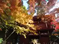本土寺(千葉県)