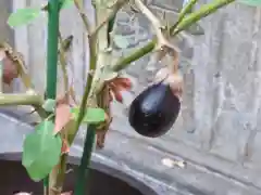 大鳥神社の庭園