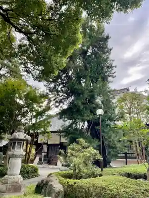 高安寺(東京都)