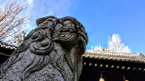 山神社の狛犬