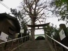 下総国三山　二宮神社の建物その他