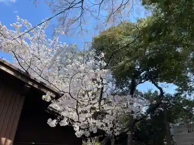別小江神社(愛知県)