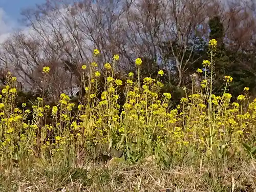 八剱神社の自然