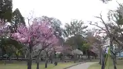 春日大社の庭園