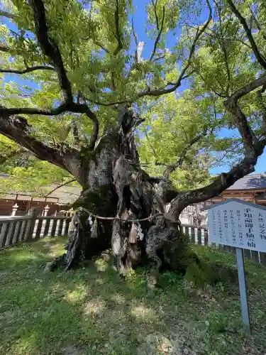 大山祇神社の{uncategorized: "未分類", other: "その他", undefined: "問題あり", building: "その他建物", grave: "お墓", sacred_gate: "鳥居", guardian: "狛犬", statue: "像", buddha: "仏像", history: "歴史", nature: "自然", garden: "庭園", animal: "動物", pagoda: "塔", temizu: "手水舎", mountain_gate: "山門・神門", sanctuary: "本殿・本堂", subordinate: "末社・摂社", art: "芸術", scenery: "景色", jizo: "地蔵", ema: "絵馬", goshuin: "御朱印", omikuji: "おみくじ", items: "授与品その他", amulet: "お守り", goshuincho: "御朱印帳", eats: "食事", festival: "お祭り", votive_dance: "神楽", shichigosan: "七五三参", wedding: "結婚式", experience: "体験その他", initially: "初詣", around: "周辺", anti_infection: "感染症対策"}
