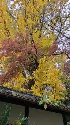 観音寺（山崎聖天）(京都府)