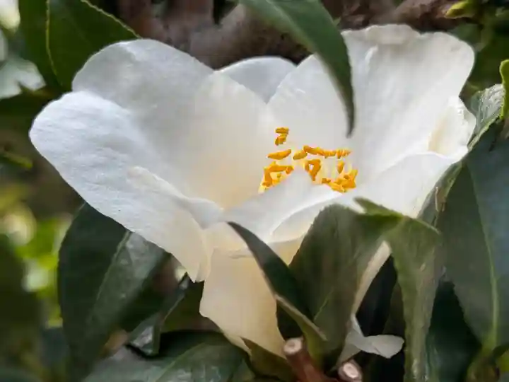 西方山極楽寺(岐阜県)
