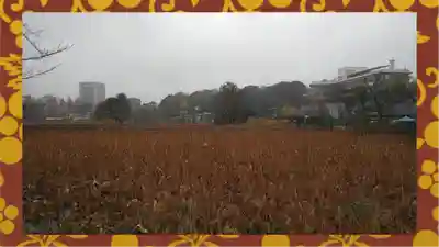 寛永寺不忍池弁天堂(東京都)