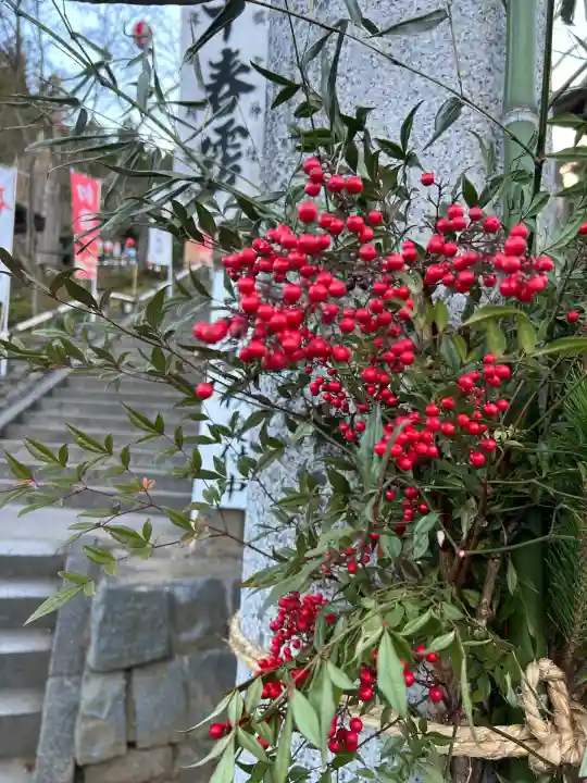 温泉神社〜いわき湯本温泉〜(福島県)