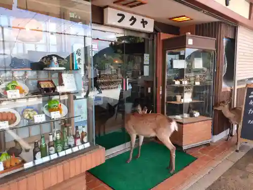 厳島神社(広島県)