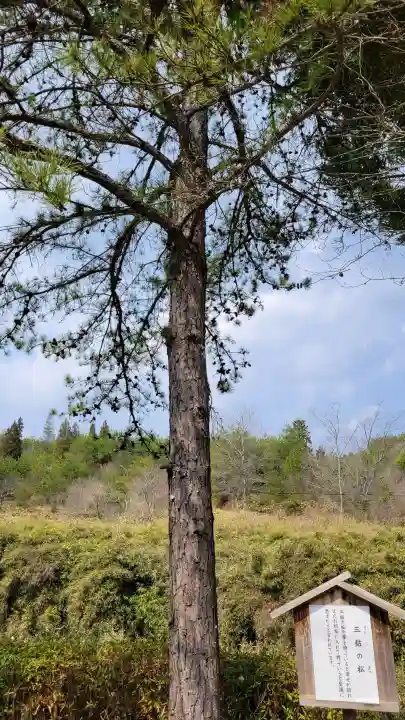 玉桂寺の{uncategorized: "未分類", other: "その他", undefined: "問題あり", building: "その他建物", grave: "お墓", sacred_gate: "鳥居", guardian: "狛犬", statue: "像", buddha: "仏像", history: "歴史", nature: "自然", garden: "庭園", animal: "動物", pagoda: "塔", temizu: "手水舎", mountain_gate: "山門・神門", sanctuary: "本殿・本堂", subordinate: "末社・摂社", art: "芸術", scenery: "景色", jizo: "地蔵", ema: "絵馬", goshuin: "御朱印", omikuji: "おみくじ", items: "授与品その他", amulet: "お守り", goshuincho: "御朱印帳", eats: "食事", festival: "お祭り", votive_dance: "神楽", shichigosan: "七五三参", wedding: "結婚式", experience: "体験その他", initially: "初詣", around: "周辺", anti_infection: "感染症対策"}