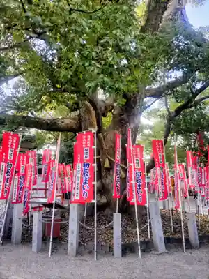 楠珺社（住吉大社末社）(大阪府)