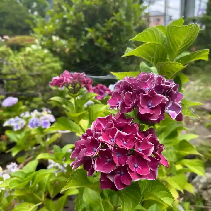 豊景神社(福島県)