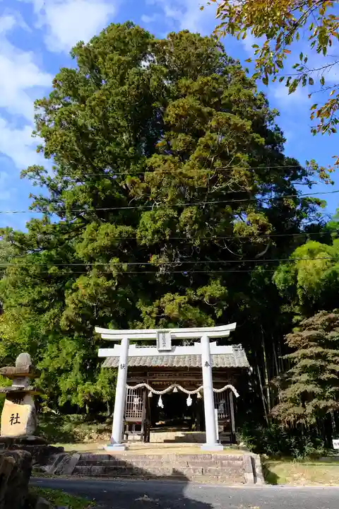 蘇羅比古神社の鳥居