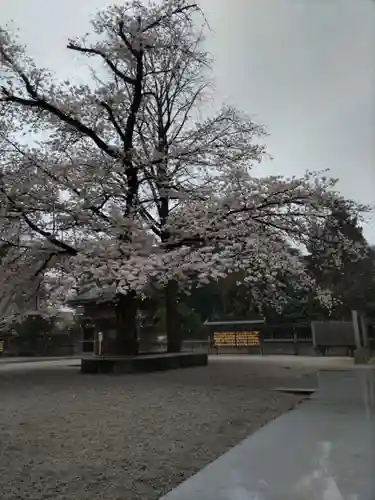 諏訪神社のその他建物
