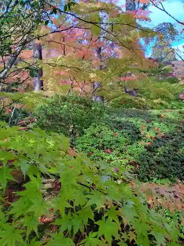 円通院(宮城県)