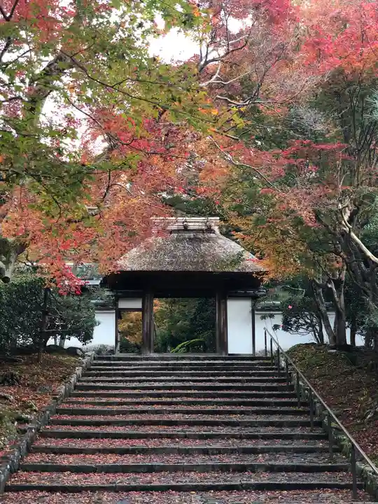 安楽寺の山門・神門