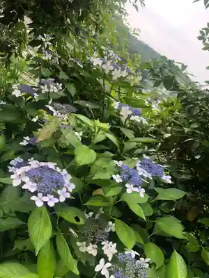 石内のお大師さん　金剛院(広島県)