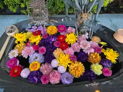 駒込妙義神社(東京都)