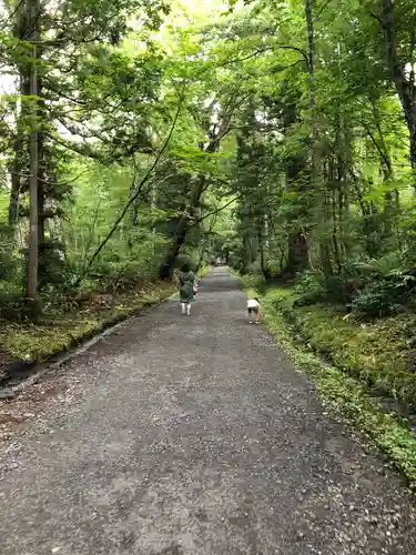 戸隠神社九頭龍社の景色