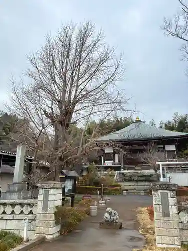 来迎寺(千葉県)