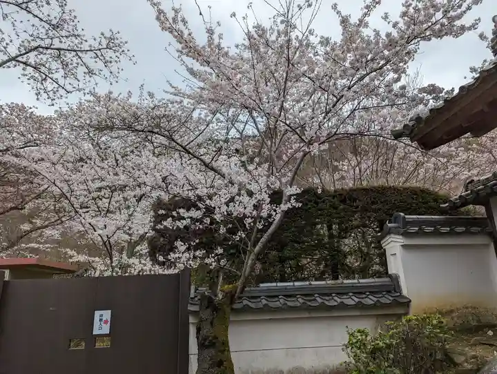 勝持寺(花の寺)(京都府)