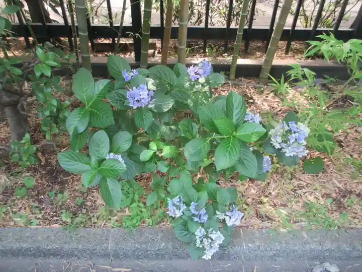 回向院(東京都)