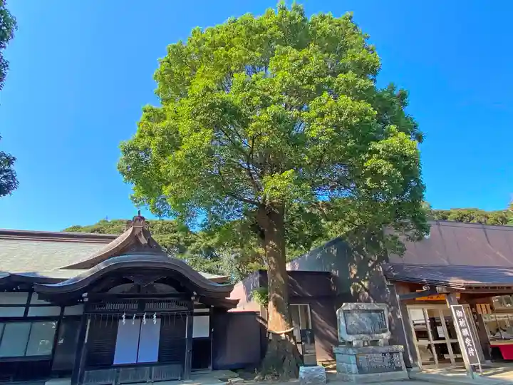 酒列磯前神社の自然
