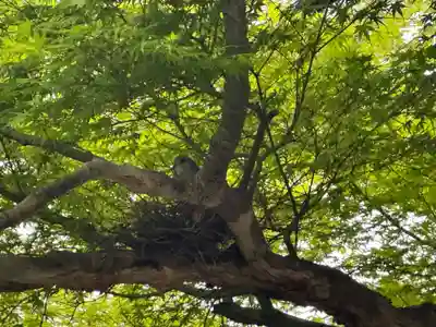 穴太寺(京都府)