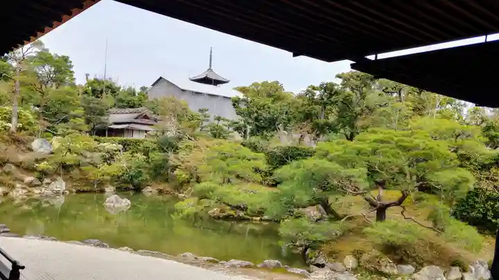仁和寺の庭園