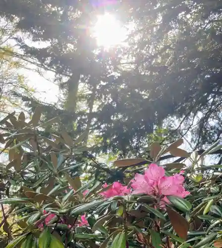 大谷地神社の自然