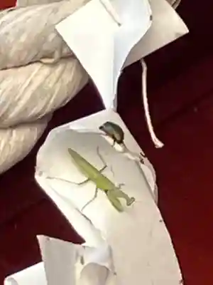 屋形四社神社(千葉県)