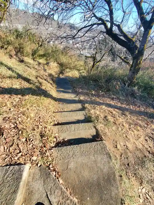 雷電神社(助戸東山町)(栃木県)