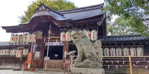 縣神社の狛犬