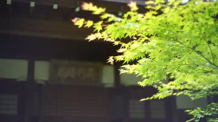 常寂光寺(京都府)